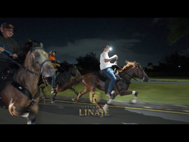 LOZADA A PASO VS ANDADURA