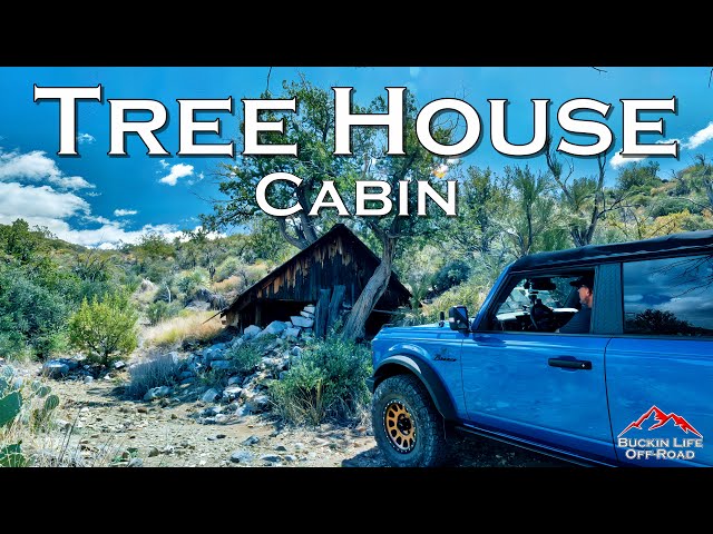 The Ultimate Treehouse Cabin in the Desert