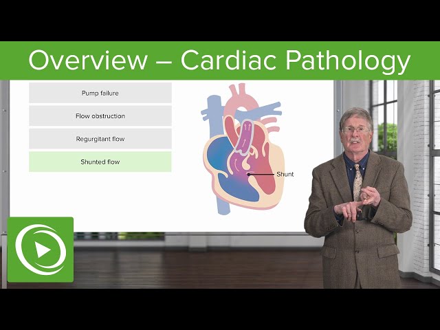 Overview – Cardiac Pathology | Lecturio