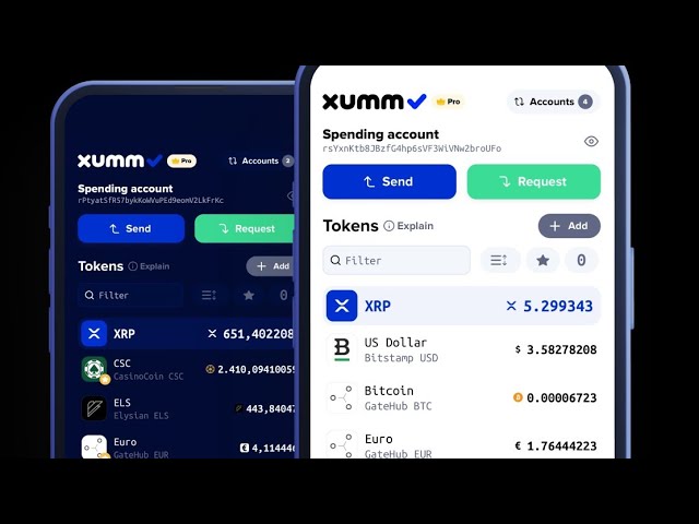 XUMM Wallet: Your Gateway to Seamless XRP Adventures! 🚀