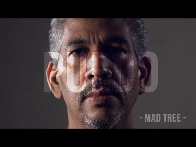 Puedo - Mad Tree (Official Music Video)