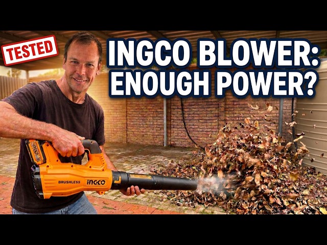Ingco Blower REAL WORLD Test - Is it powerful enough? Ingco Cordless Blower CABLI20428