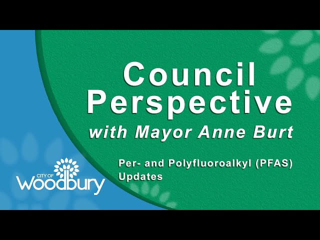 Council Perspective: August 2023