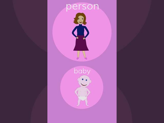 Baby Animals Song (c)