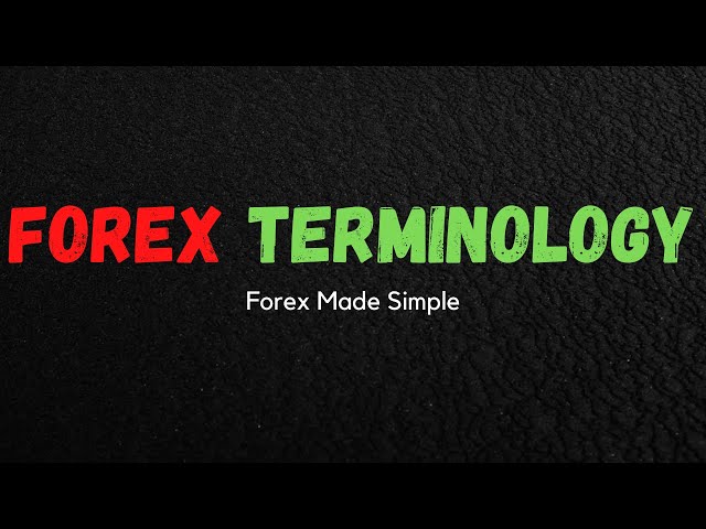 Forex Terms That Every Trader Must Know || Forex terminology explained..