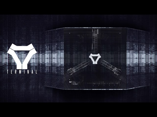 Current Value - Primary Node (TERMINAL)