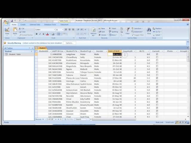 IS07 - Adding constraints, input masks and validation