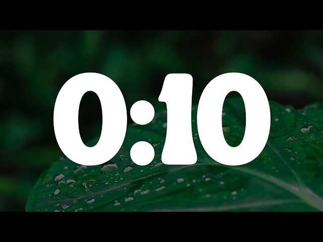 10 seconds countdown timer