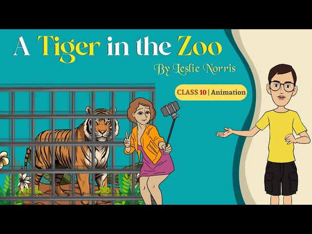A Tiger in the Zoo Class 10 | class 10 english poem a tiger in the zoo animation in hindi