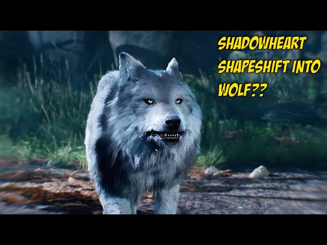 Does this mean Shadowheart can shapeshift into the wolf as well? : Baldur's Gate 3