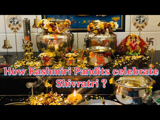 Kashmiri Herath Puja 2025 🙏🏻🕉️ | Shivratri Puja Vlog 🔱💐| Jai watuknath 🙏🏻| #shivratri #puja #herath