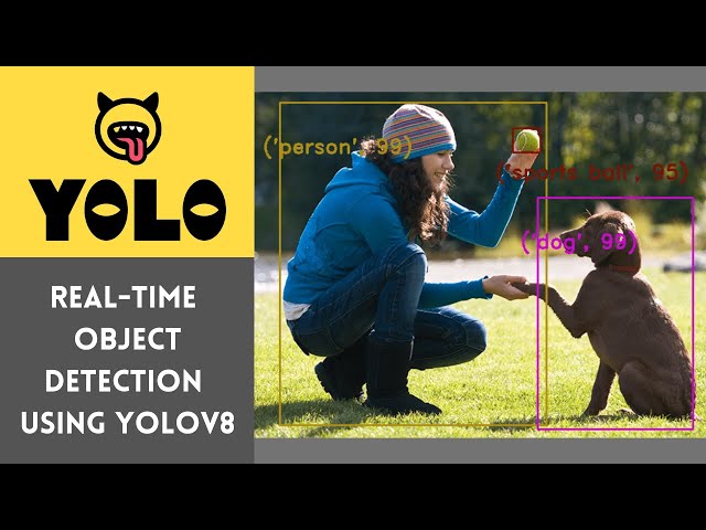 YOLOv8 | Real time object detection using YOLOv8
