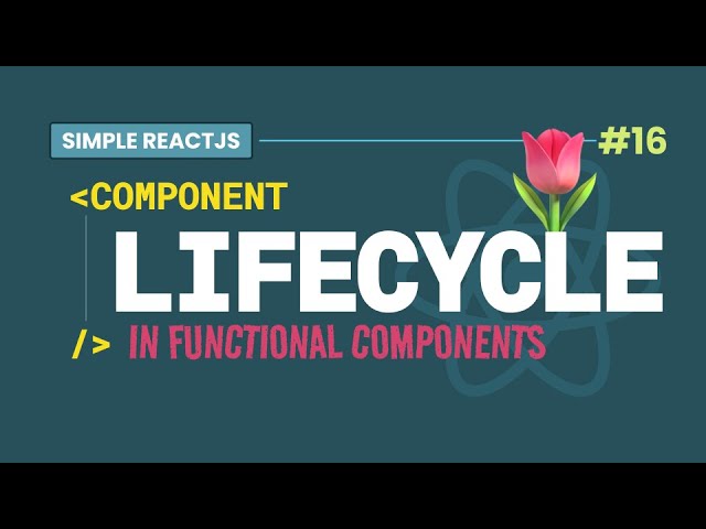 #16 Introduction to LifeCycles in React Functional Components with useEffect