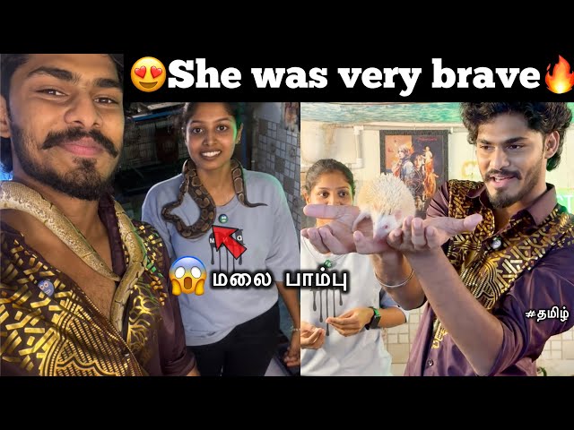 😍She was very brave🔥|😱மலை பாம்பு | she handling snake | TTF | Tamil |