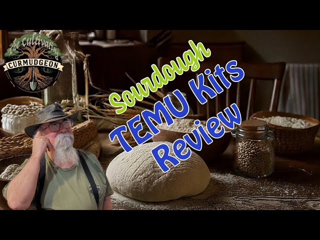 The Curmudgeon's Temu Tangle: Sourdough Kits & Appliances – Unsponsored & Unflinching!