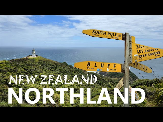 5 Days in Northland, NZ