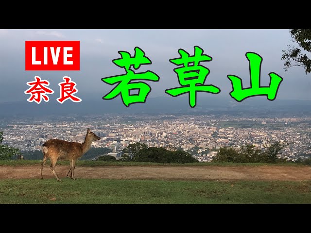 奈良 若草山ライブカメラ／Nara Wakakusa-yama LiveCam