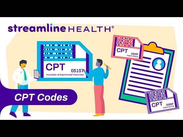 What are CPT Codes?