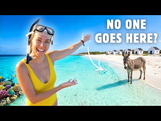 BONAIRE: The Caribbean Island You’ve Never Heard Of (But Need To Visit)