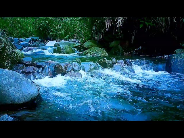 🍃 Crystal Clear River ASMR Sounds for Deep Relaxation, Sleep & Mental Clarity
