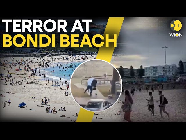 Bondi Beach Shooting LIVE: PANIC At Bondi Beach After Shooting Incident, 8 People Hospitalised