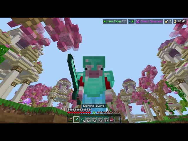 Educational Hive Skywars 001
