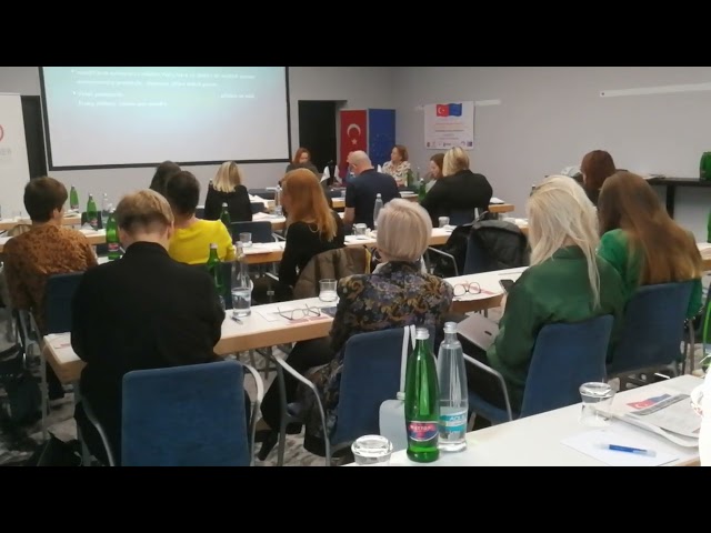 Women-Friendly City Program: "The Czech Republic Example" (3)
