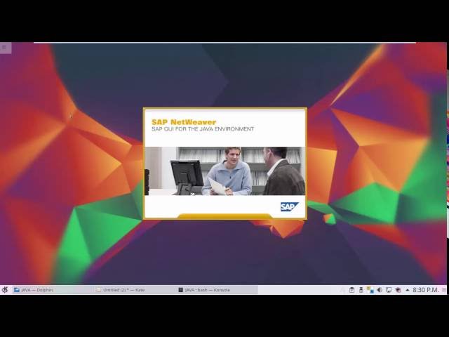 How to install SAP GUI on GNU/Linux