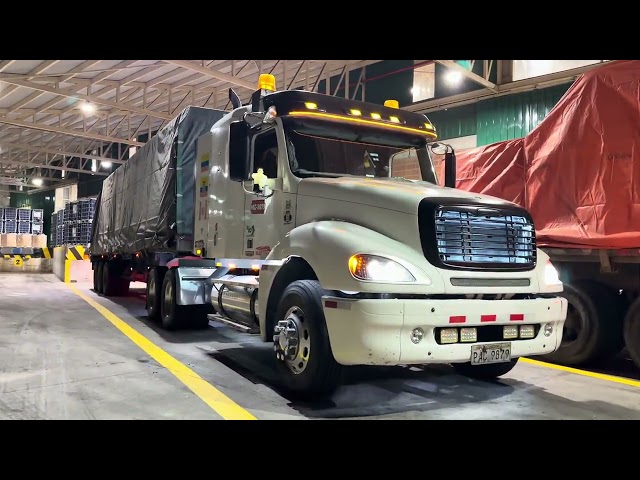 Loading wood for Peru