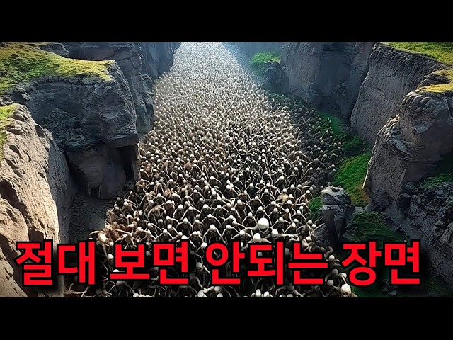 전 세계에서 가장 충격적인 장면이 드론에 찍혔다