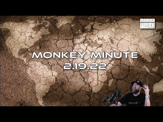 Monkey Minute 2 19 22