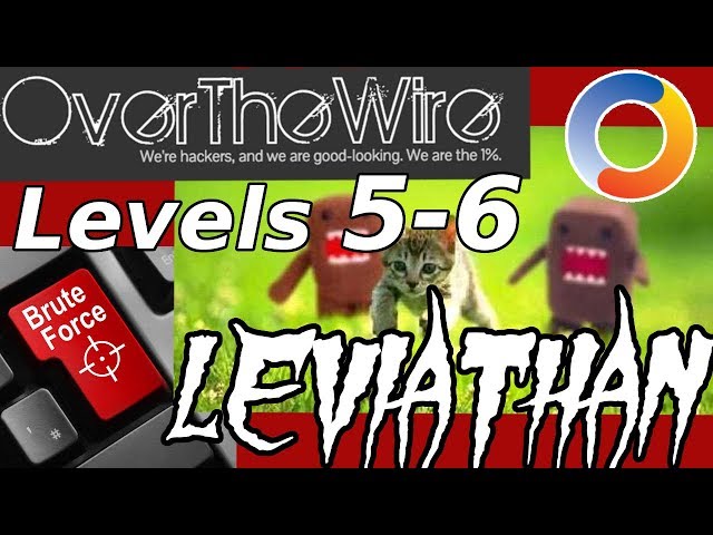 Linux Hacking: Brute-Force Loop | Leviathan: OverTheWire (Levels 5-6) FINALE