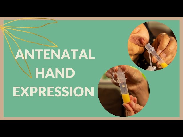 Antenatal Hand Expression: How to Collect and Store Colostrum During your Pregnancy