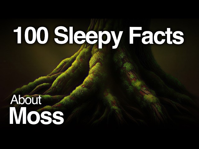 Why Moss Has No Roots, Seeds, or Flowers | Ancient Plant Mystery