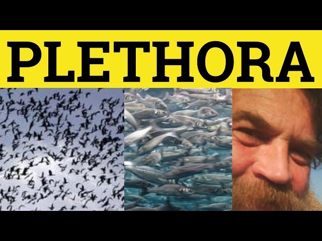🔵 Plethora - Plethora Meaning - Plethora Examples - Formal Literary English