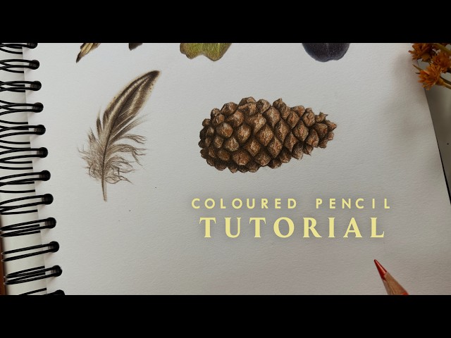 Learn to Draw | Pinecone / Fall Autumn Coloured Pencil Tutorial | Real-Time | Part 2