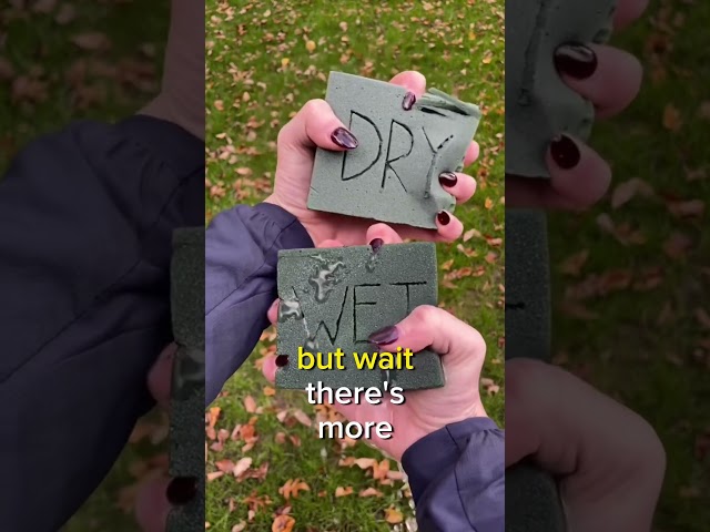 Quick Factoids: Bite-sized Knowledge