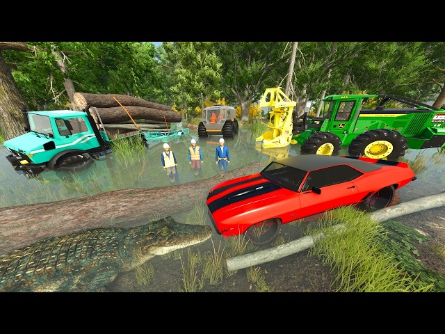 Searching Swamp for Missing Racecar