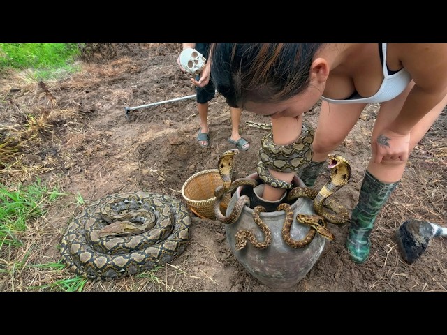 Top 5 Most Dangerous Python & Cobra Rescue Moments  Brave Snake Catcher Girl and Hunter Team