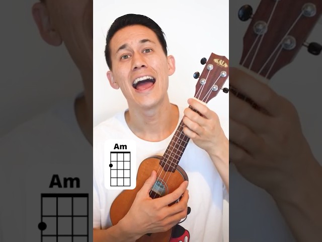 4 chords, 100s of songs #ukulele