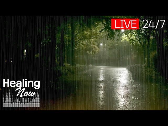 [🔴Live] Rain Sounds for Deep Sleep and Healing-Fall asleep quickly with the comfort of cool downpour