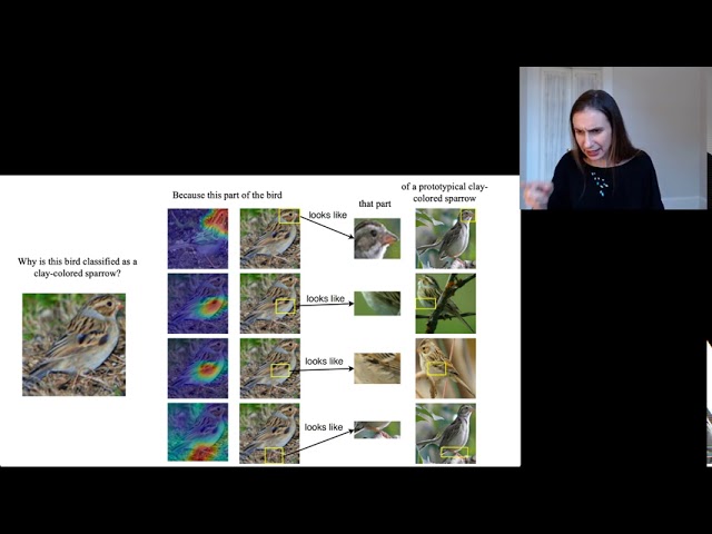 JSM Tutorial 2020 - Interpretable Neural Networks