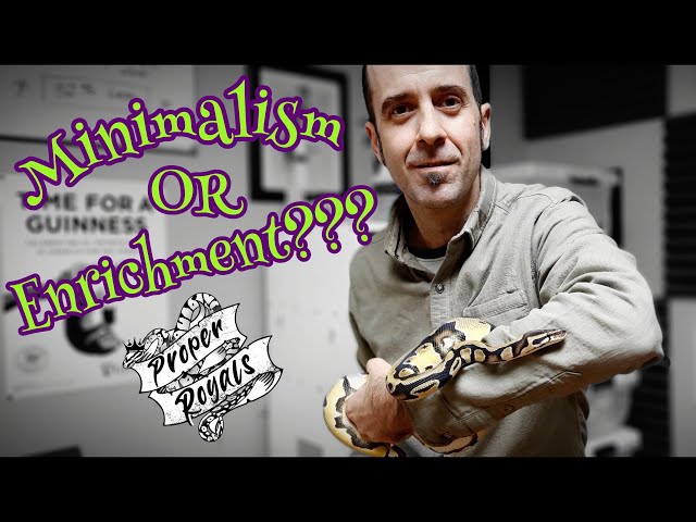 Enrichment versus Minimalism in Ball Python Enclosures