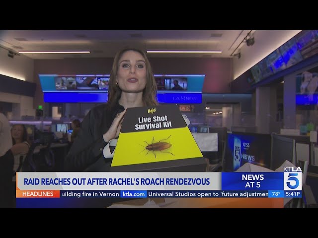 Raid reaches out after reporter's roach rendezvous