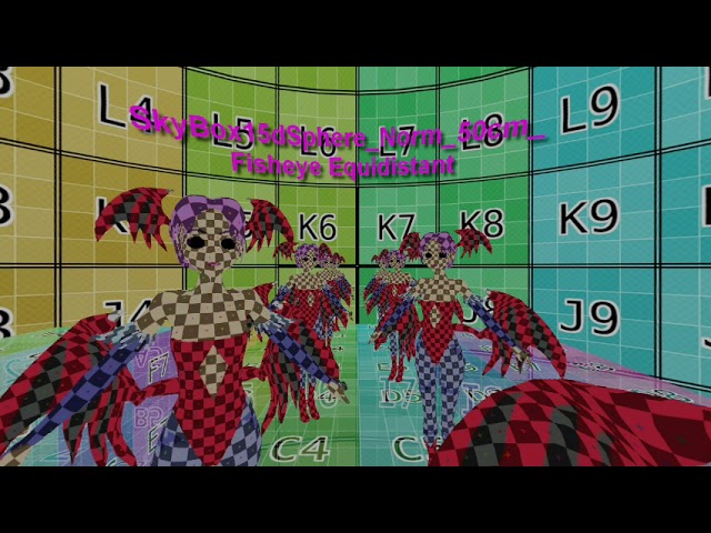 Definitive 3DVR POV Test Fisheye inj