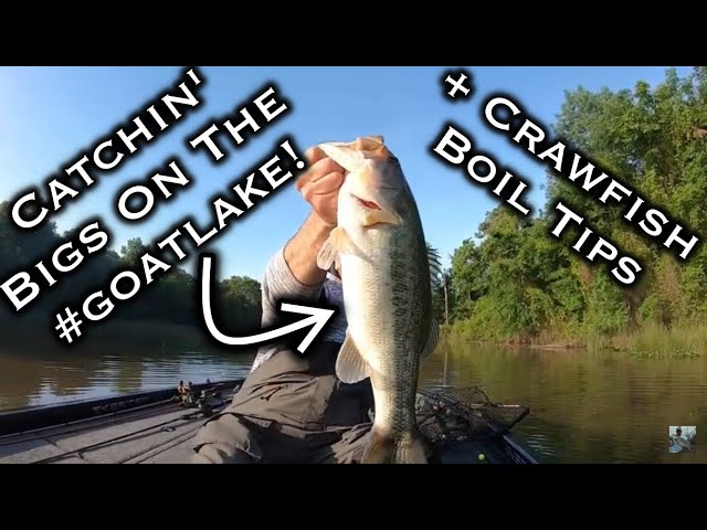 Lake Fork Bass Fishing: Phone In The Lake + How To Boil Crawfish