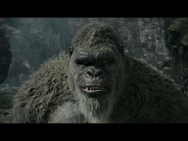 MV Kong 2024 4K Scene Pack Part 1