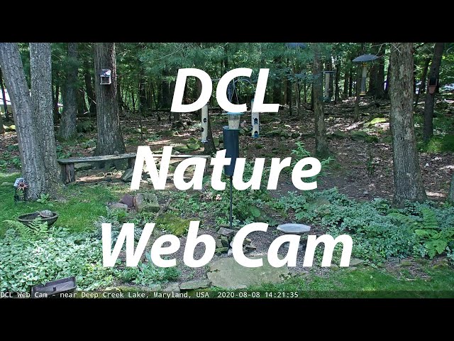 DCL Web Cam (05/27/2026)