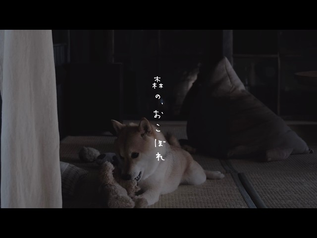 ただただ、利休