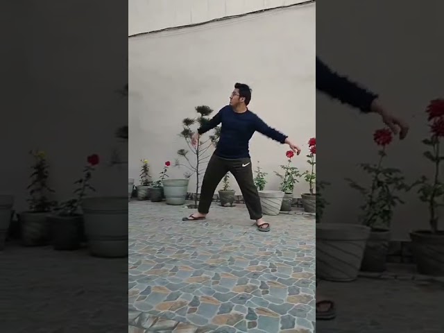 Code With Harry - Srivalli Dance😂 | #codewithharry #code #harry